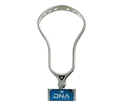 ECD DNA