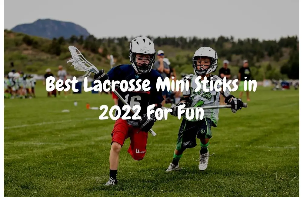 Best Lacrosse Mini Sticks in 2022 For Fun