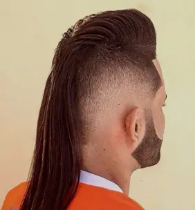 The Business in the Front, Party in the Back Mullet